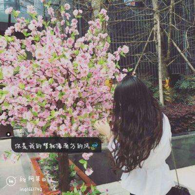 魔塔50层无敌版